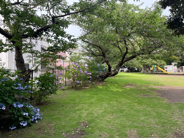 B0280FFF-B9FF-485B-B003-E4B1B12820EB