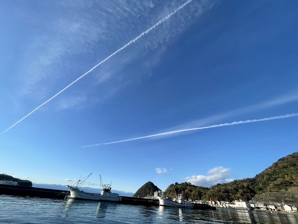 CA088D34-7664-4D06-BA63-BE05CA891AD6