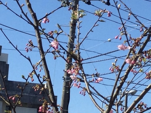 66B8F17C-A890-44EA-8853-6DE091CAF51E