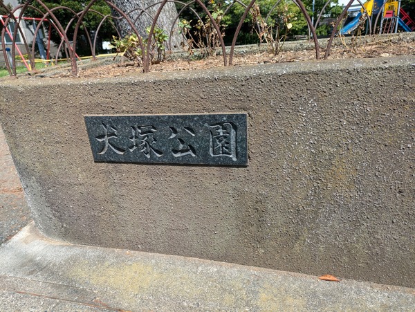PXL_20240818_044550965