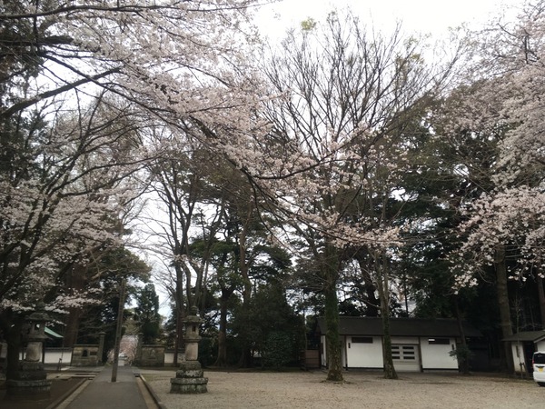 86FA3DC7-C23E-4C91-80F7-BD3AB0BE1F67