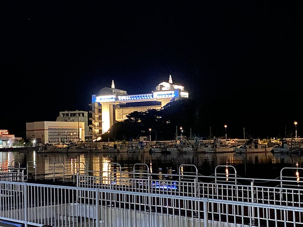 view (4)
