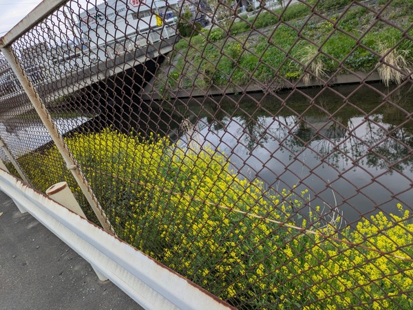 PXL_20250412_072008027