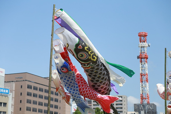 Koinoboring (12)