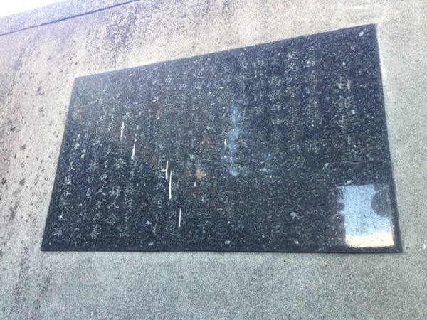 632581F5-AFF7-4C5D-A4DB-68EA332D02EE