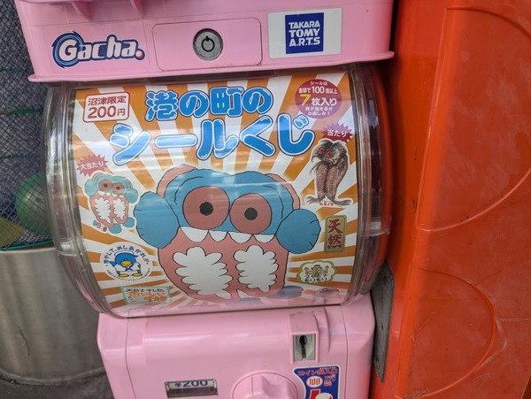 PXL_20241104_052343611