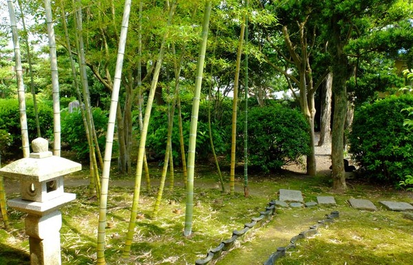 hakukinWALK (3)