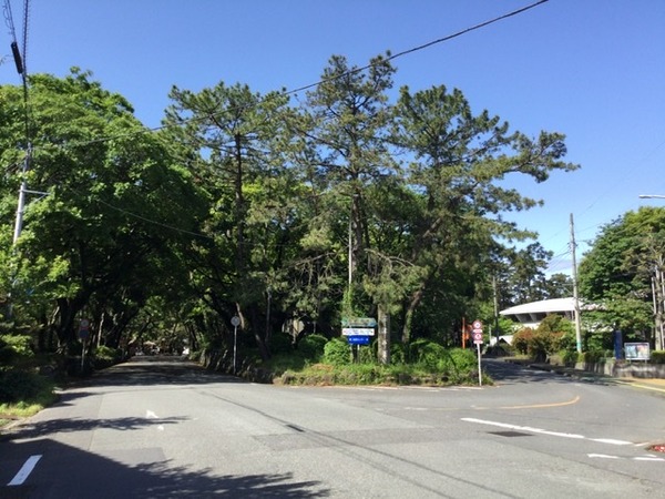 7A1C1322-7A78-48DE-9EB5-695DBFE43D57