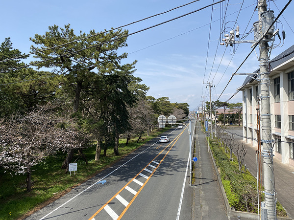 senbonkaidou (14)