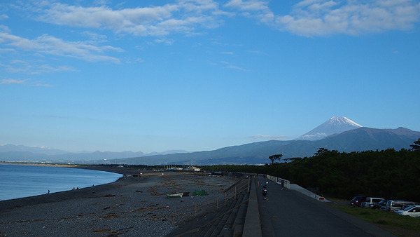 senbon (6)