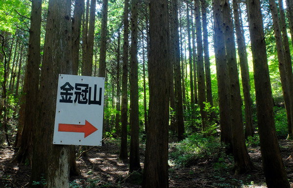 kinkana (4)