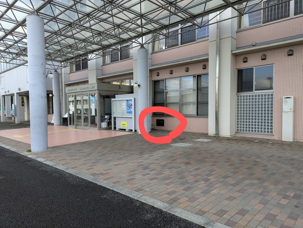 PXL_20241111_054957329~2