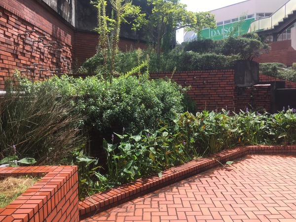 E7879340-15EA-44C6-B526-330E4A8DB4D9