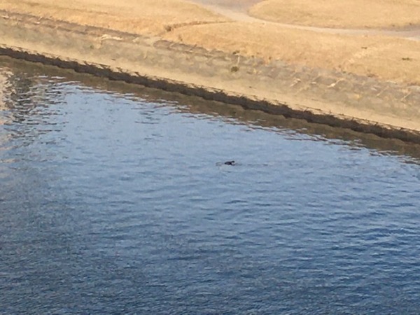 D9F741D8-C198-4CEB-B506-575B8E42DB59