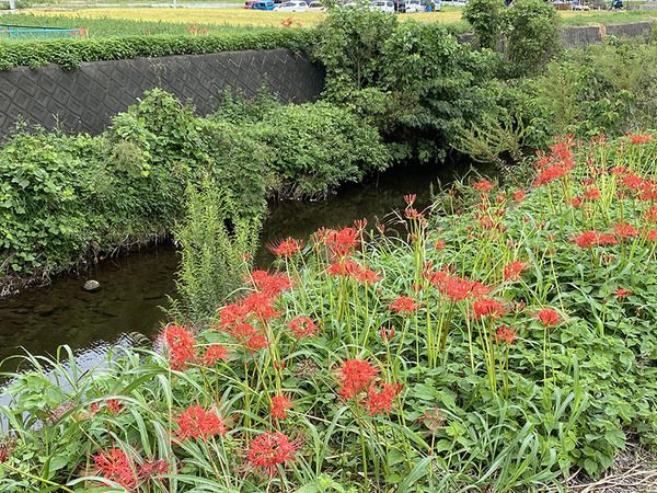 takahashigawa (2)