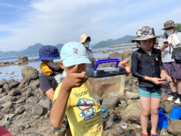 あかはたみてー