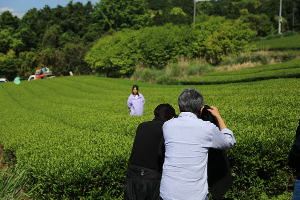 ocha (9)