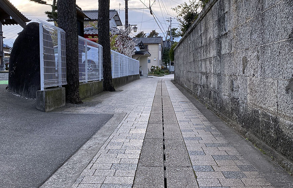 hakukinWALK (7)