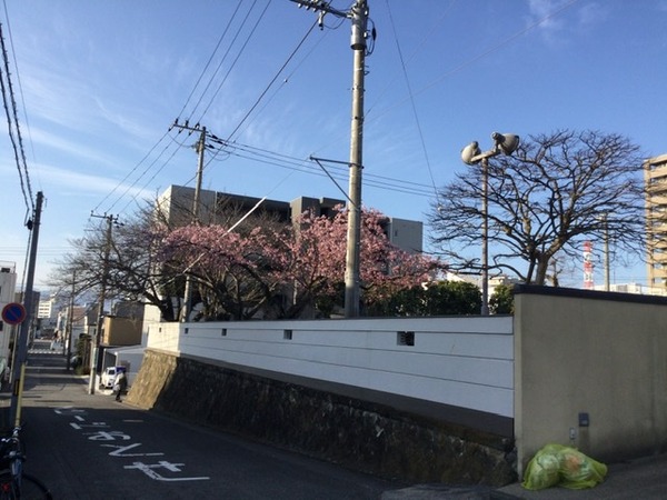 D0ED9B74-C950-4C77-8BD3-AFEA85A59AB1