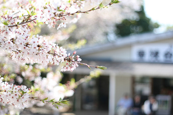 kanukiyama (7)