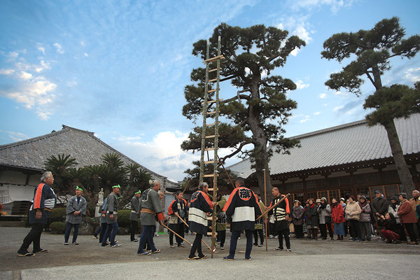 hasigon (7)