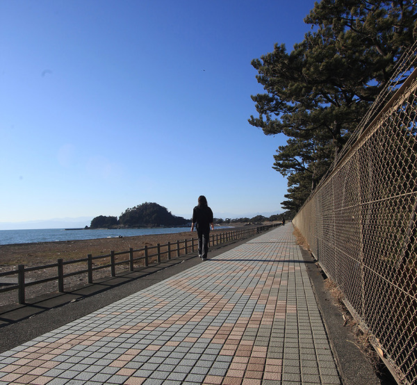 fujisannohi (6)