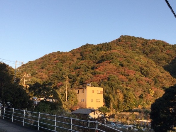 CD318E01-0F0E-4E2B-B8BF-8A19C3DD5165