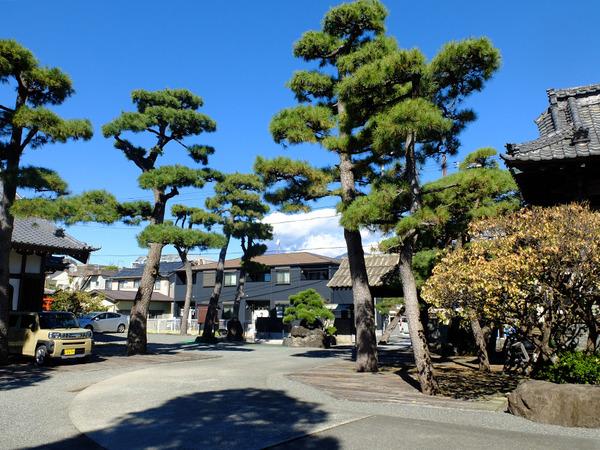 ゆっくり歩いて原の時間を味わいましょう。原宿めぐり 〜ゆったり歩く、白隠さんのまち〜。11月30日開催。