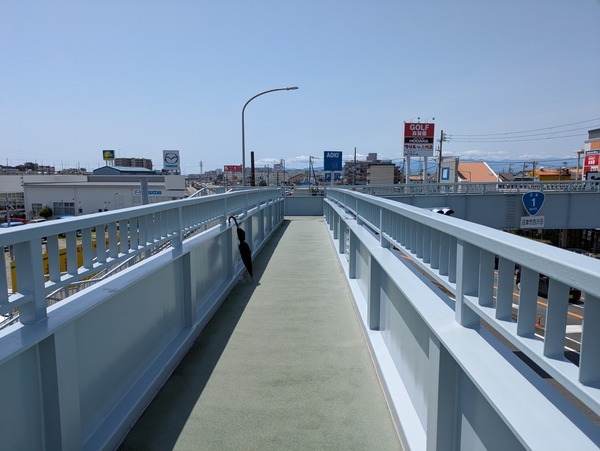 PXL_20250503_034007474