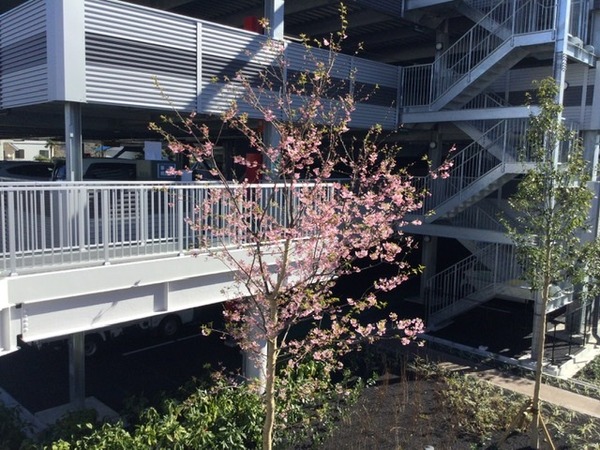 7490A012-4297-4B97-9C09-D4FC9664D0BC