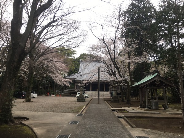 338C26B6-B7B1-4773-94EE-7BDC994C6744