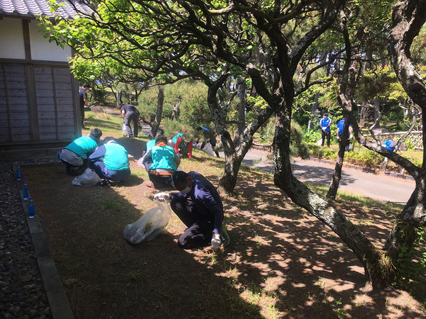 goyouteikin (3)