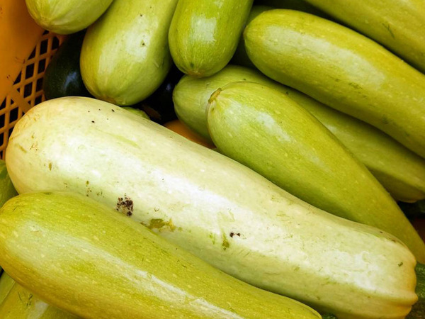 zucchini