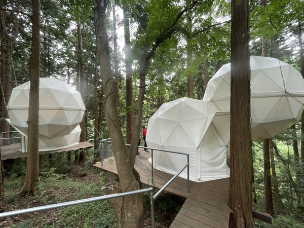 5E5B3F91-5C1F-489C-A86A-964F805E97EF