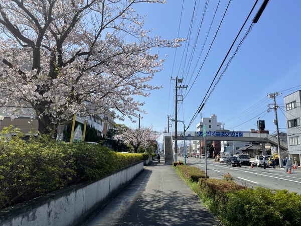 F2B1C373-40DE-4DC3-8372-65282CE0C3AE