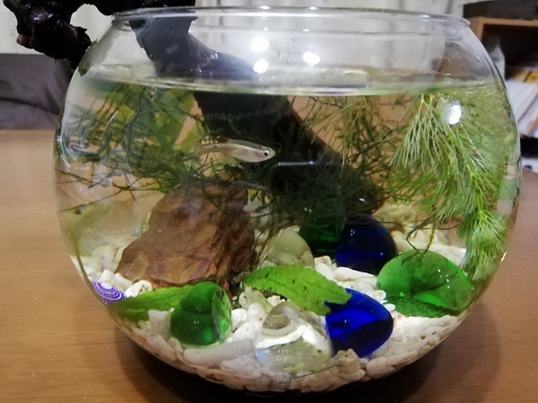 301356580_483709029865026_1937782413108412014_n