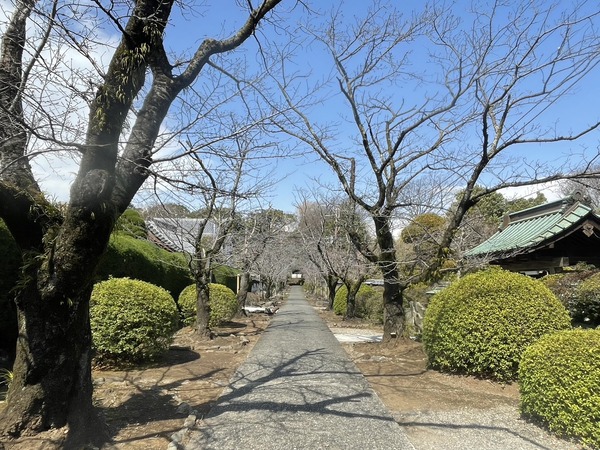 C9236793-94F7-40FC-B7D3-55AE0258FA35