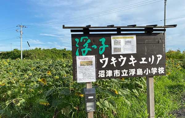 hima03