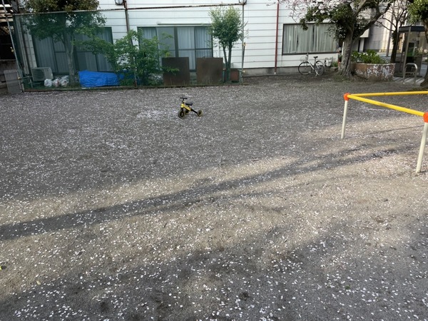 3A01605D-AB62-46F8-B29D-646CF8B18144