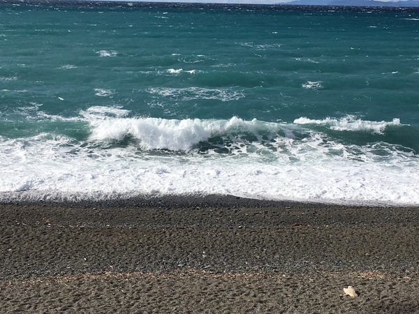 97D3737B-367C-44A1-A3FA-65A73CA8AF76