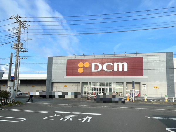 DCM (9)