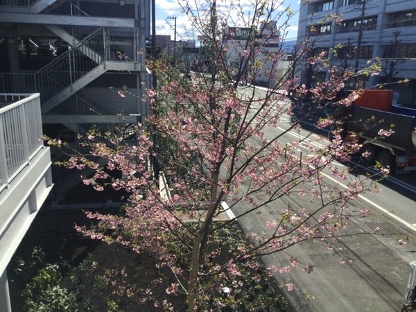 21C2549D-B8F4-4357-9ED4-2FA8985F08FC