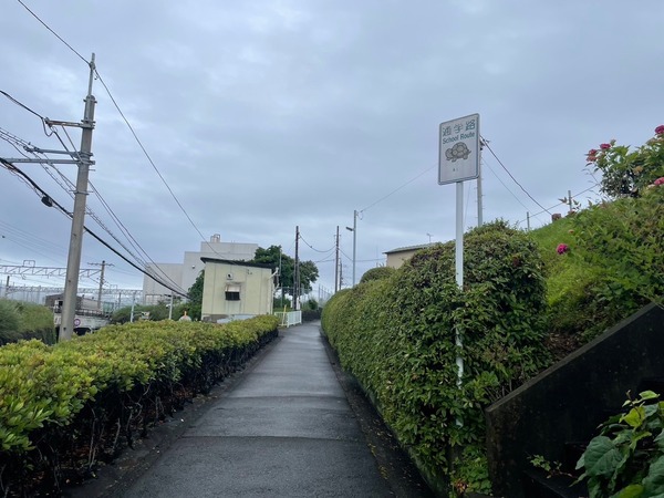 3B57ABE7-A89F-4C43-87E4-E0842877F330