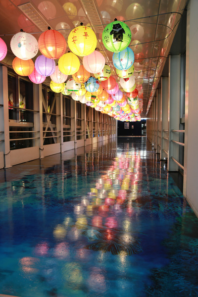 LED (16)