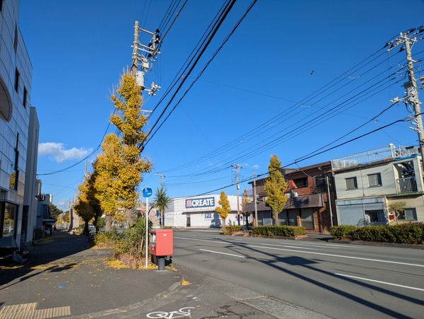 PXL_20241222_000448319
