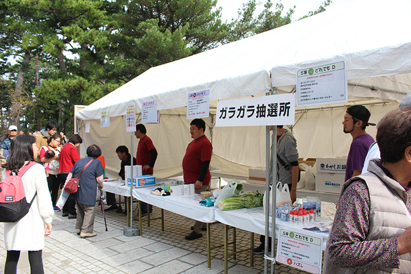 hedasansan (10)