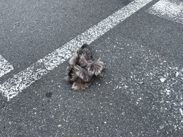 39C9FCB3-44BE-4AB2-9AE4-5BB0D576C472