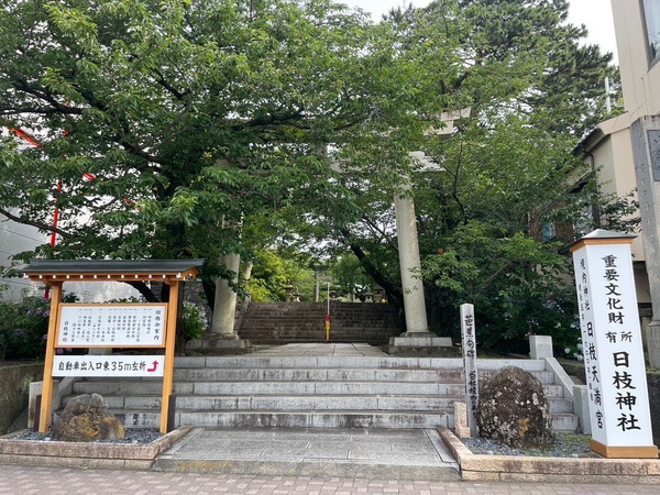 F8A7BB3E-C726-4ABC-AD56-1DE2B41C9768