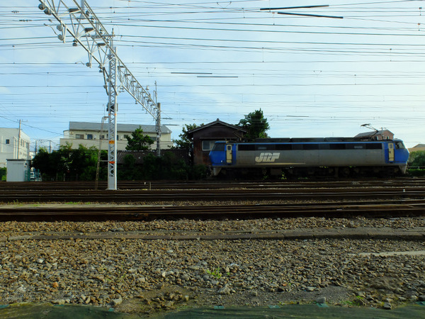 koun (6)