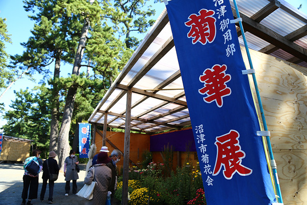kiku2kuri (5)